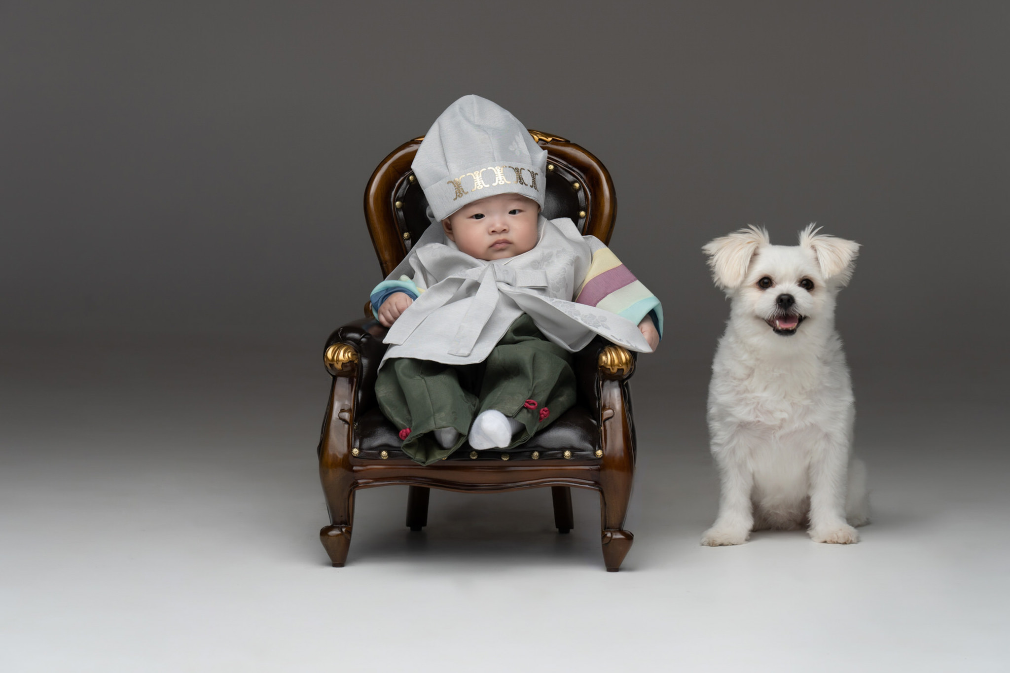 Baby in hanbok seated in an armchair beside a small white dog
